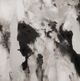Renwil® Everren Celba Wall Art-5