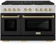 ZLINE Autograph Edition Paramount 48" Satin Stainless Steel Pro Style Dual Fuel Range with Black Matte Door and Champagne Bronze Accents-0