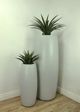 Le Present Agave Green Faux Botanical-4