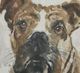 Uttermost® Dog Days 4-Piece Framed Print Art Set-5