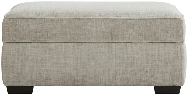 Peak Living Ritz Taupe Storage Ottoman-0
