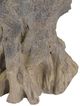 Currey & Company Old Growth Dark Brown Small Planter-5
