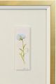 Stylecraft Tamara Day for StyleCraft The Garden III Wall Art-1