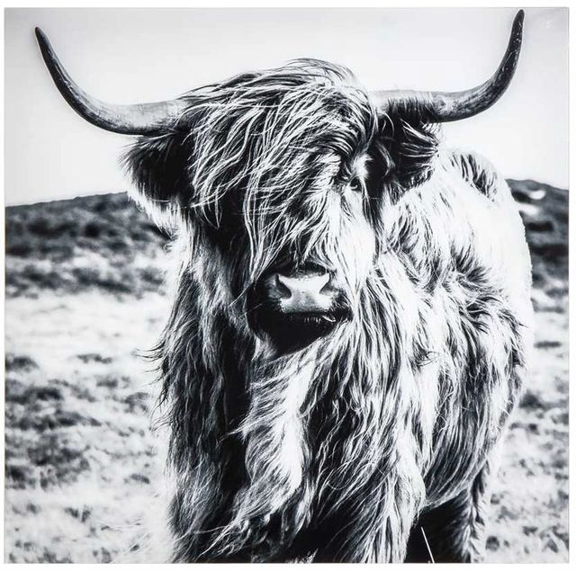 YHD Highland Wall Art-0