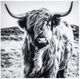 YHD Highland Wall Art-0
