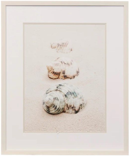 Stylecraft Shells Framed Print-0