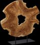 Uttermost® Bahati Natural Sculpture-0