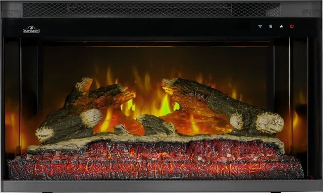 Napoleon Rosedale™ 2 Series 26'' Black Insert Electric Fireplace-1