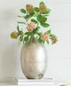A & B Home Green Fruit Spray-3