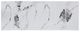 ACME Furniture Damita White Dining Table with Black Base-5