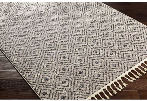 Surya Restoration Taupe 4'x6' Area Rug-1