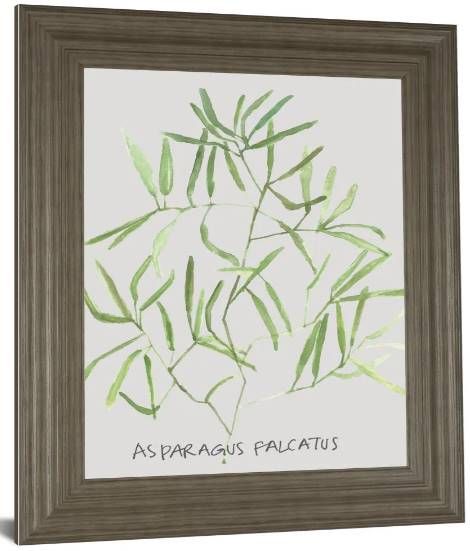 Classy Art Asparogus Falcatus by Katrien Soeffers Wall Art-1