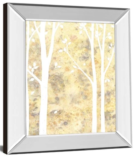 Classy Art Simple State II by Debbie Banks Mirror Framed Wall Art-0
