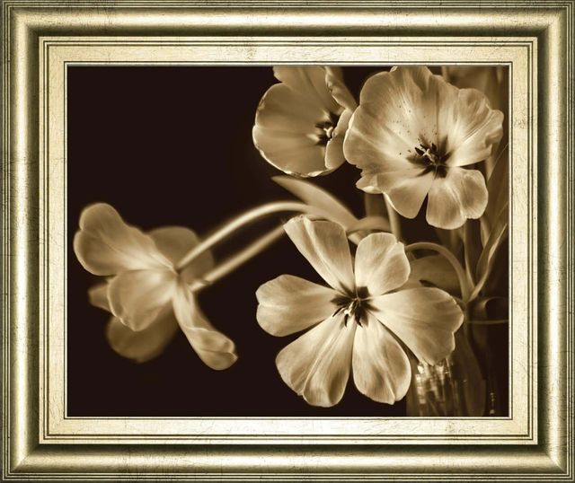 Classy Living Adrian Jendrasik Elegante 22"W Wall Art-0