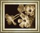 Classy Living Adrian Jendrasik Elegante 22"W Wall Art-0
