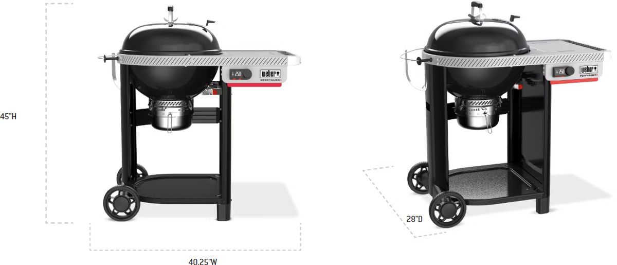 Weber® Performer™ 41