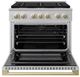 ZLINE Marino 36" Stainless Steel Pro Style Gas Range with Champagne Bronze Accents-1
