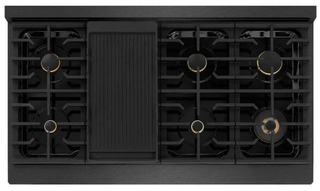 ZLINE Designer Collection Paramount 48" Black Satin Stainless Steel Gas Range with 8 Burner Cooktop and Convection Gas Oven-3