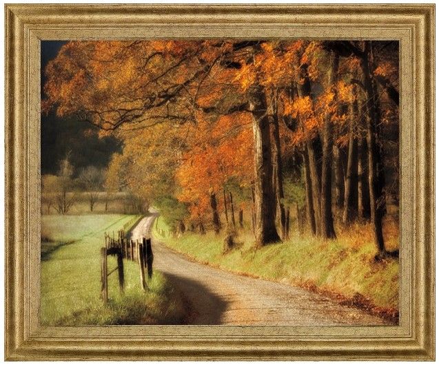 Classy Living Amber Forest Pathway Wall Art-0