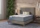 Sherwood® Bedding Resort XXV Soft TT 14.25" Wrapped Coil Soft Tight Top Twin XL Mattress-2