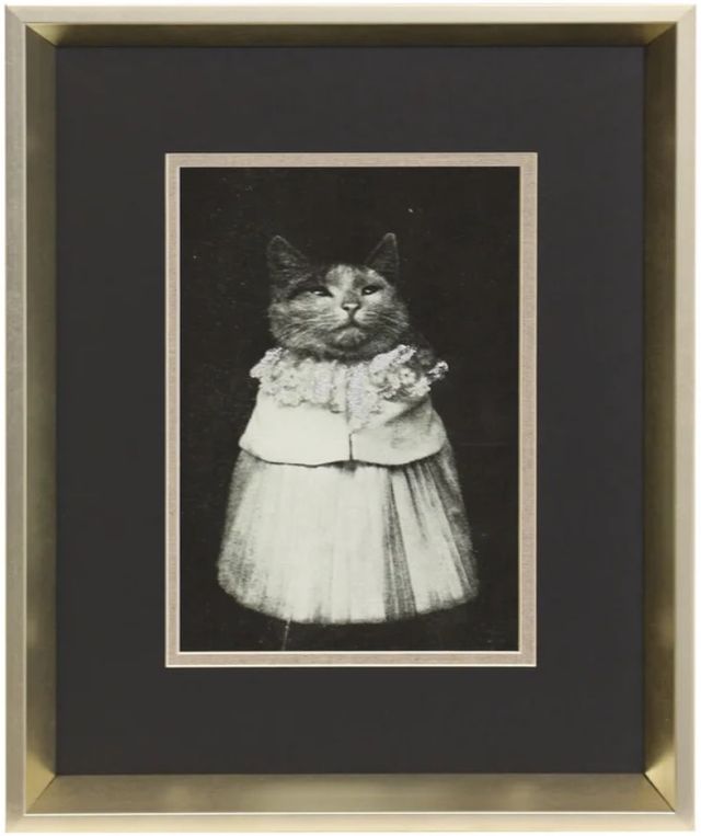 Stylecraft Cat Skirt Wall Art-0