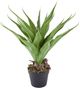 A & B Home Green Artificial Yucca Plant with Cement Pot-2