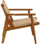 Dovetail Furniture Parley Natural Synthetic Rattan/Teak Wood Outdoor Occasional Chair-2