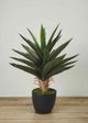 Le Present Agave Green 25.5" Faux Botanical-2