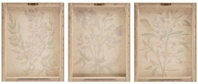 Olliix by Madison Park Linen Botanicals 3 Piece Multicolor Printed Linen Canvas Set-3