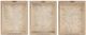 Olliix by Madison Park Linen Botanicals 3 Piece Multicolor Printed Linen Canvas Set-3