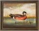 Stylecraft American Wigeon Wall Art-0