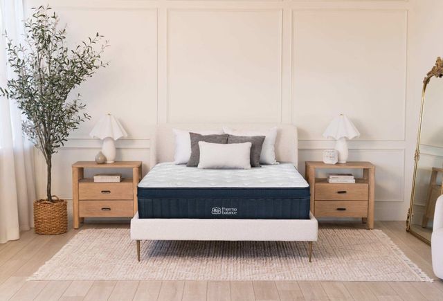 Brooklyn Bedding ThermoBalance LX 14" Hybrid Firm Euro Top Queen Mattress in a Box-1