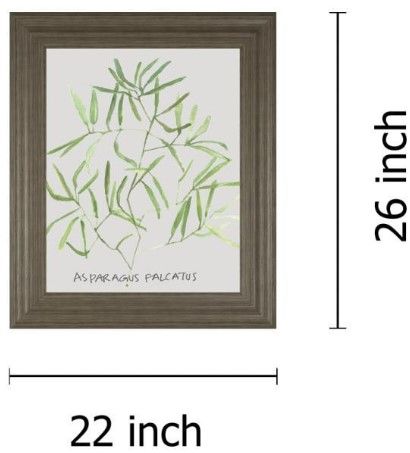 Classy Living Katrien Soeffers Asparogus Falcatus 22" Wall Art-2