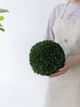 A & B Home Green 8.5" Faux Boxwood Topiary Ball-4