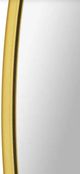 Renwil® Fragoso Powder Coated Gold Mirror-2