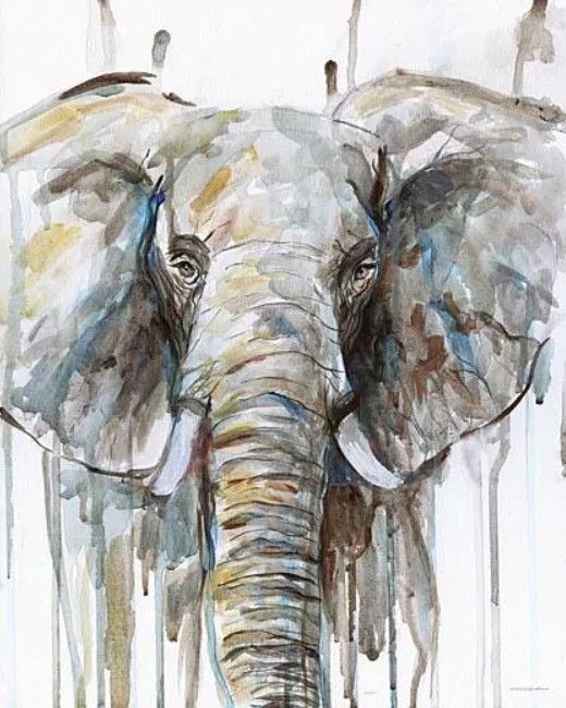 Classy Art Drippy Elephant by Kamdon Kreations Wall Art-0