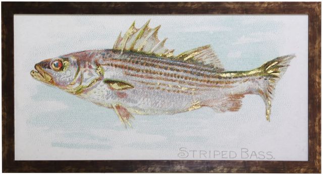 Stylecraft Striped Bass Wall Art-0