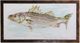Stylecraft Striped Bass Wall Art-0