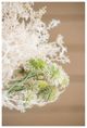 A & B Home Cream 15'' Faux Artificial Dried-Look Flower-4