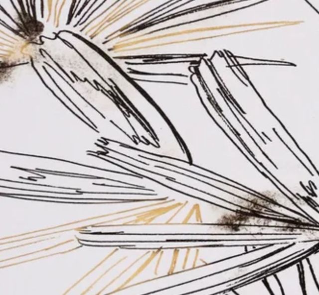 StyleCraft Selva Sketch I Black/Gold/White Wall Art-1