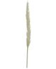 A & B Home White Dried Natural Pampas Grass Bundle-2