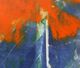 Stylecraft Orange Passion II Canvas Print-1