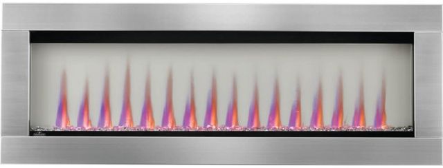Napoleon® CLEARion™ Elite 50" Electric Fireplace Insert-1