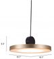 Zuo Modern Mozu Gold Ceiling Lamp-5