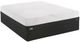 Sealy® Performance™ N9 Conform Thrilled 1.5 Gel Memory Foam Plush Smooth Top Queen Mattress-1