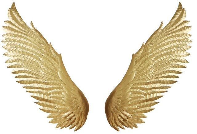 Moe's Home Collection Wings Gold Wall Decor-0