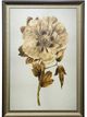 Stylecraft Beige/White Wall Art-0