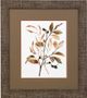 StyleCraft Preserved Autumn Leaves Brown/Taupe/White Wall Art-0