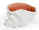 Wildwood Lamps Marco White Shell-0