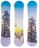 YHD Bluebird Day Wall Art-0